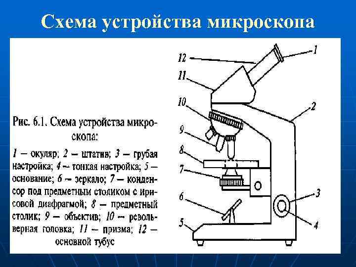 Схема устройства микроскопа 