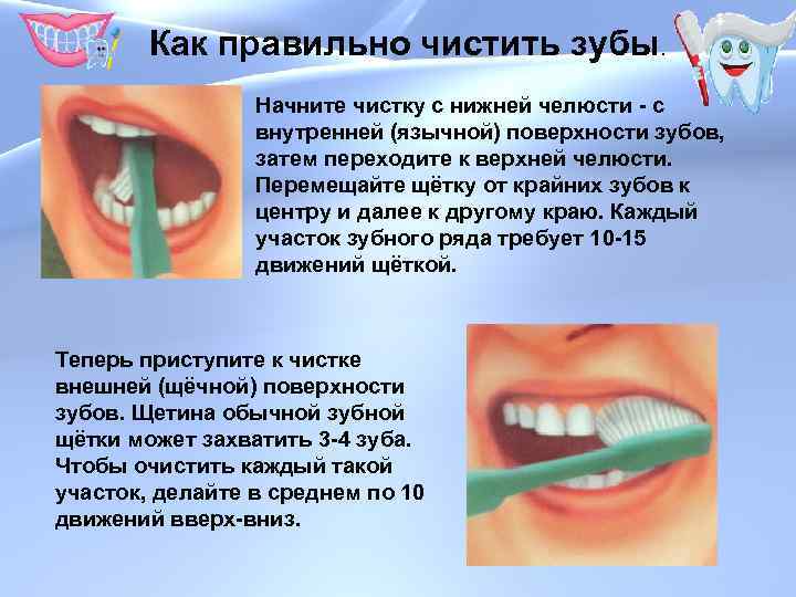 Как правильно чистить зубы. Начните чистку с нижней челюсти - с внутренней (язычной) поверхности