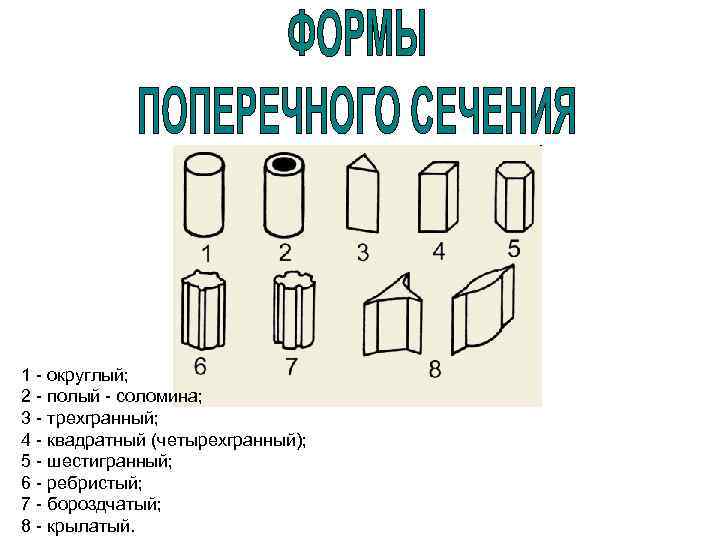 1 - округлый; 2 - полый - соломина; 3 - трехгранный; 4 - квадратный