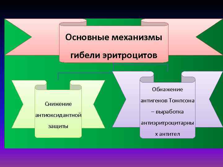 Основные механизмы гибели эритроцитов Обнажение Снижение антиоксидантной защиты антигенов Томпсона – выработка антиэритроцитарны х