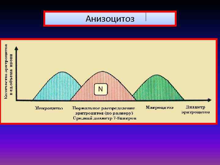 Анизоцитоз 