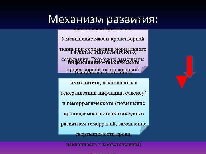 Дозозависимая гибель стволовых Механизм развития: клеток в костном мозге. Уменьшение массы кроветворной ткани при