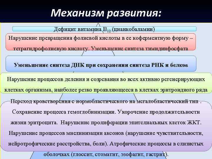 Механизм развития: Дефицит витамина В 12 (цианкобаламин) Нарушение превращения фолиевой кислоты в ее коферментную