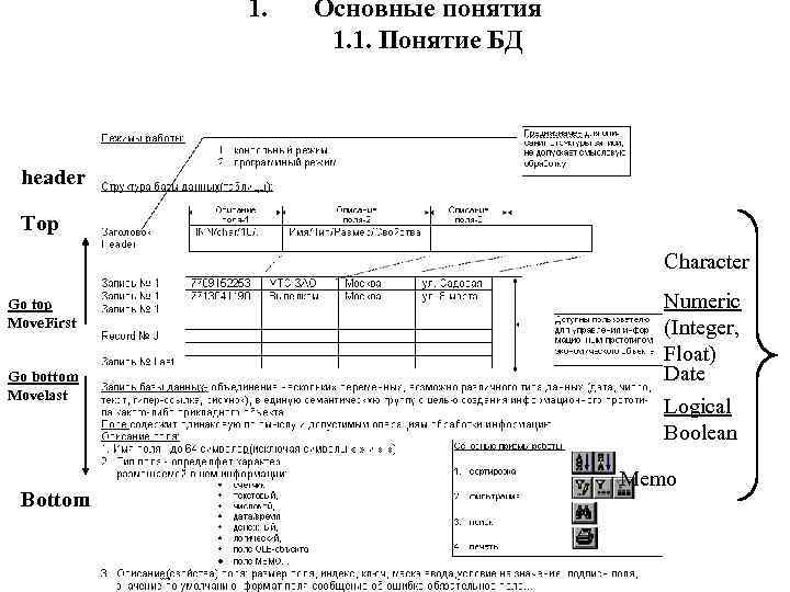 1. Основные понятия 1. 1. Понятие БД header Top Character Go top Move. First