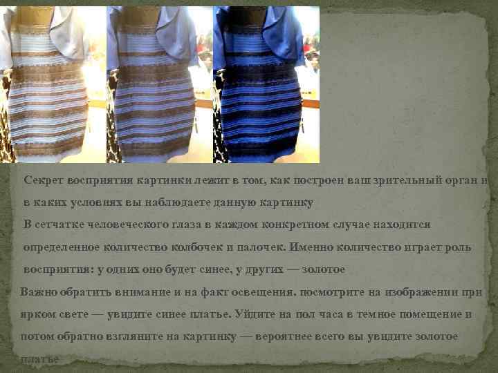  Секрет восприятия картинки лежит в том, как построен ваш зрительный орган и в