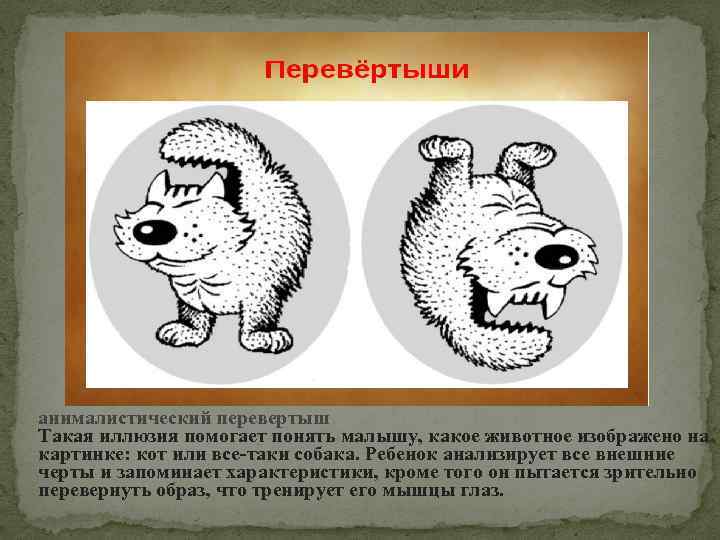 анималистический перевертыш Такая иллюзия помогает понять малышу, какое животное изображено на картинке: кот или