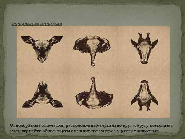 ЗЕРКАЛЬНАЯ ИЛЛЮЗИЯ Однообразные отпечатки, расположенные зеркально друг к другу позволяют малышу найти общие черты