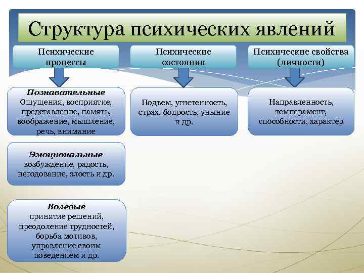 Структура психических явлений Психические процессы Психические состояния Психические свойства (личности) Познавательные Ощущения, восприятие, представление,