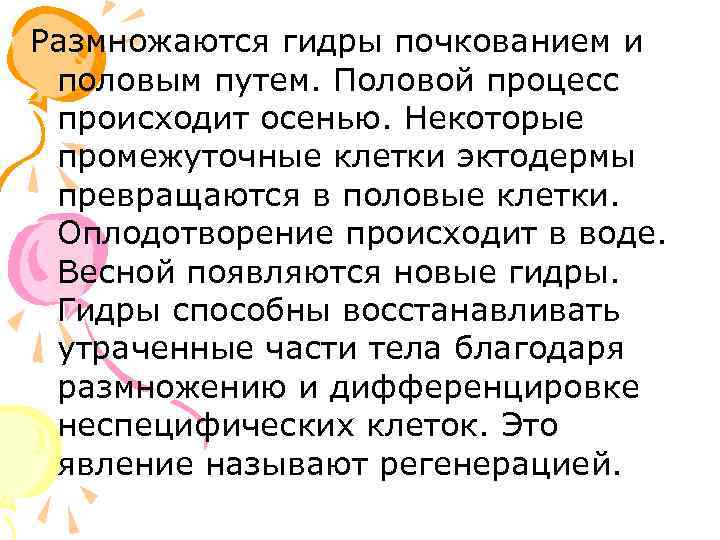 Размножаются гидры почкованием и половым путем. Половой процесс происходит осенью. Некоторые промежуточные клетки эктодермы