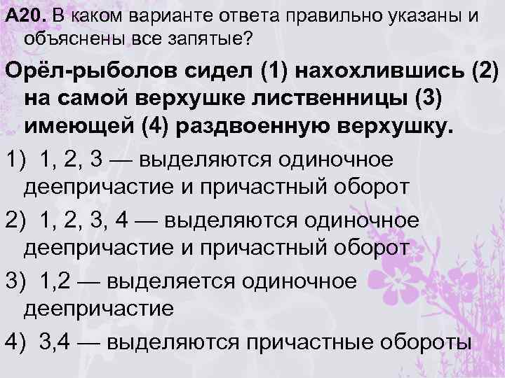 А 20. В каком варианте ответа правильно указаны и объяснены все запятые? Орёл-рыболов сидел