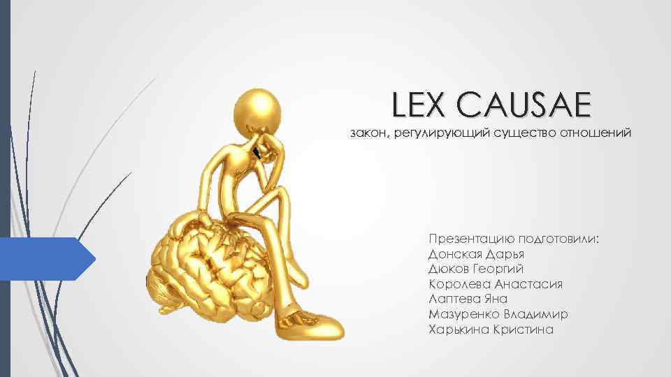 LEX CAUSАE закон, регулирующий существо отношений Презентацию подготовили: Донская Дарья Дюков Георгий Королева Анастасия