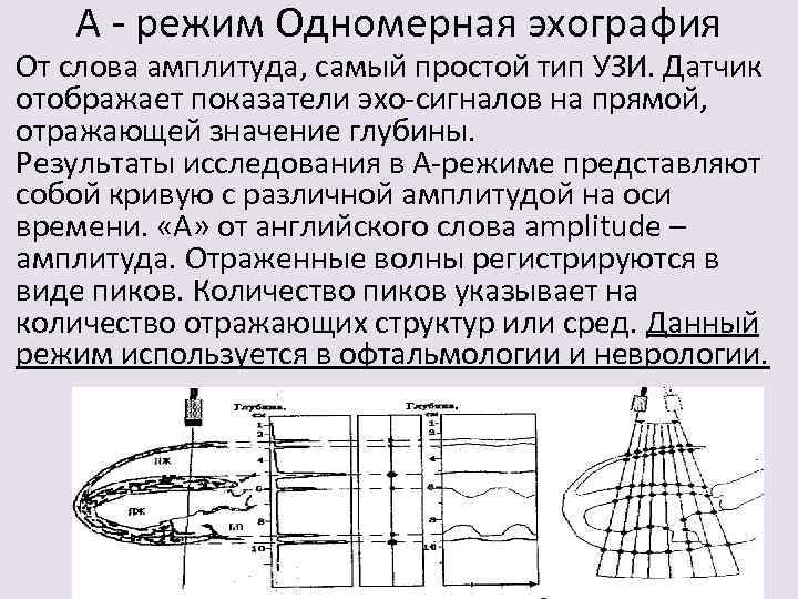 А - режим Одномерная эхография От слова амплитуда, самый простой тип УЗИ. Датчик отображает