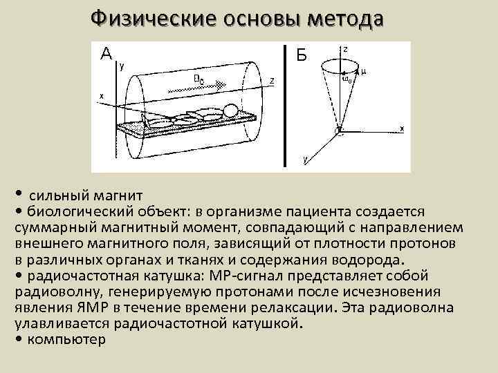 Физические основы метода • сильный магнит • биологический объект: в организме пациента создается суммарный
