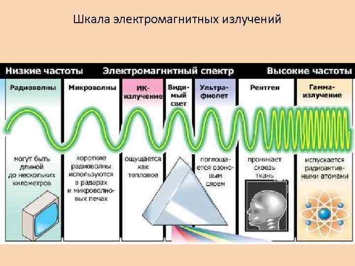 Принципиальный порядок изучения лучевого изображения