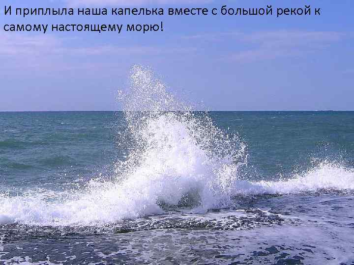 И приплыла наша капелька вместе с большой рекой к самому настоящему морю! 