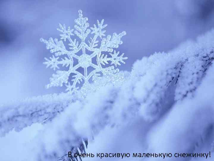 В очень красивую маленькую снежинку! 