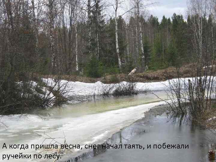 А когда пришла весна, снег начал таять, и побежали ручейки по лесу. 