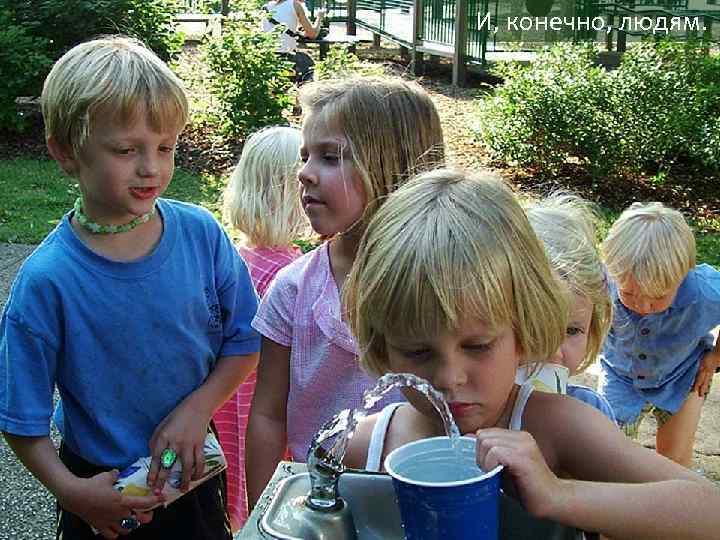 И, конечно, людям. 