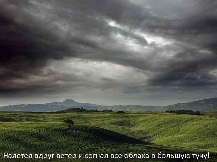 Налетел вдруг ветер и согнал все облака в большую тучу! 