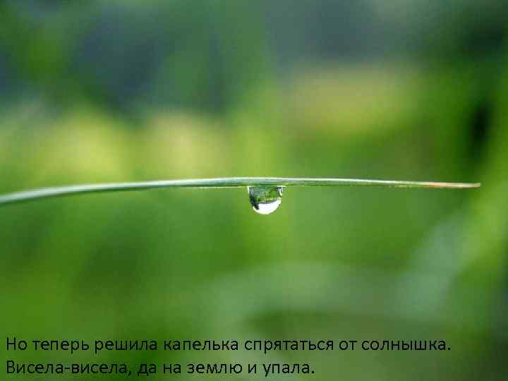 Но теперь решила капелька спрятаться от солнышка. Висела-висела, да на землю и упала. 