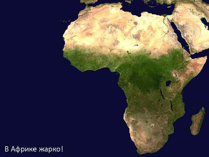 В Африке жарко! 