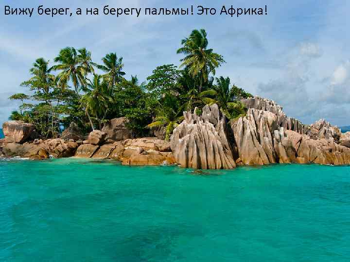 Вижу берег, а на берегу пальмы! Это Африка! 