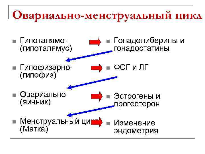 Овариально-менструальный цикл n Гипоталямо(гипоталямус) n Гонадолиберины и гонадостатины n Гипофизарно(гипофиз) n ФСГ и ЛГ