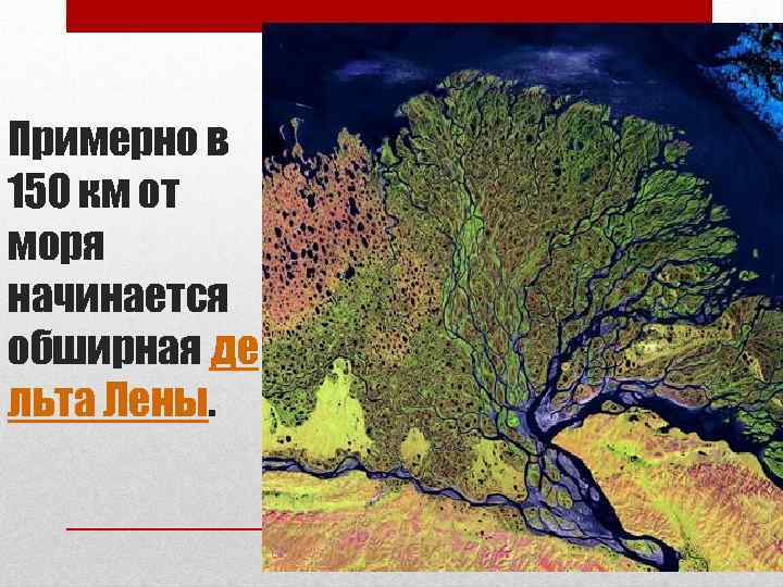 Примерно в 150 км от моря начинается обширная де льта Лены. 