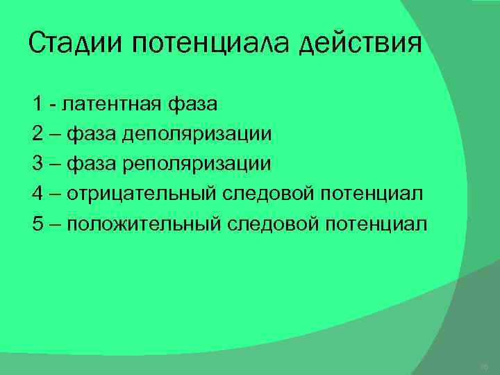 Стадии потенциала действия 1 - латентная фаза 2 – фаза деполяризации 3 – фаза