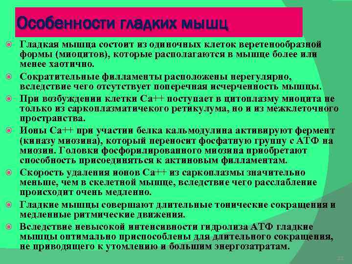 Особенности гладких мышц Гладкая мышца состоит из одиночных клеток веретенообразной формы (миоцитов), которые располагаются