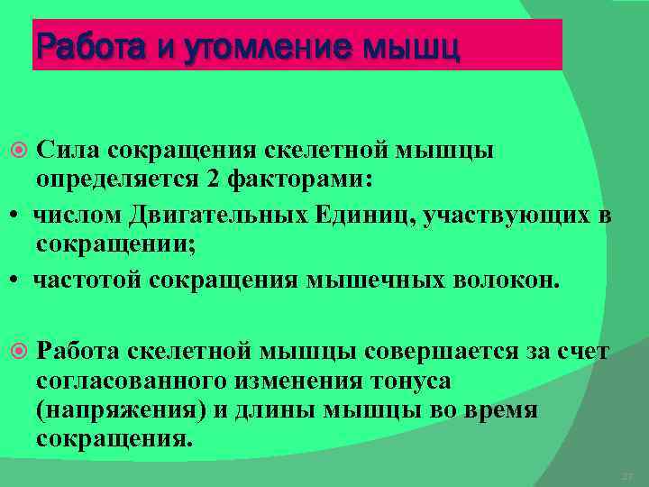 Утомление скелетной мышцы