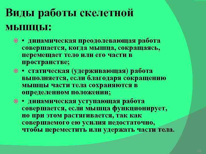 Виды работы скелетной мышцы: • динамическая преодолевающая работа совершается, когда мышца, сокращаясь, перемещает тело