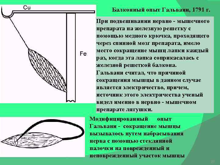 Схема первый опыт гальвани