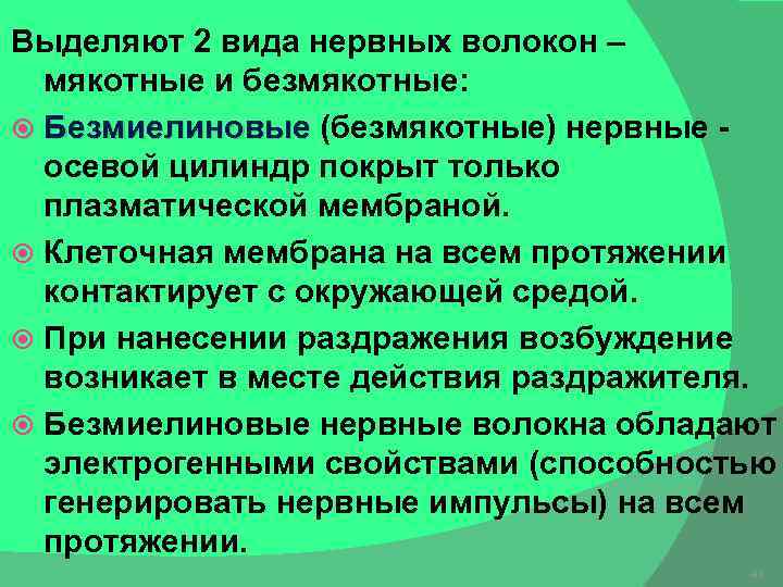 Выделяют 2 вида нервных волокон – мякотные и безмякотные: Безмиелиновые (безмякотные) нервные - Безмиелиновые