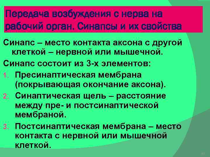 Передача возбуждения с нерва на рабочий орган. Синапсы и их свойства Синапс ‒ место