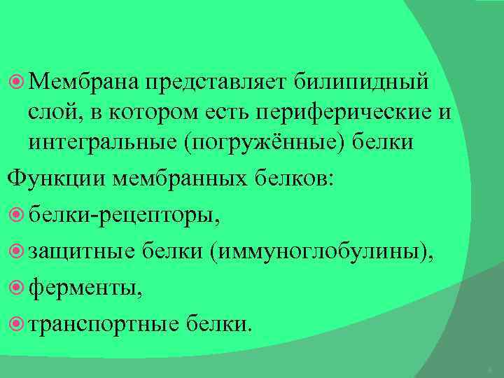  Мембрана представляет билипидный слой, в котором есть периферические и интегральные (погружённые) белки Функции