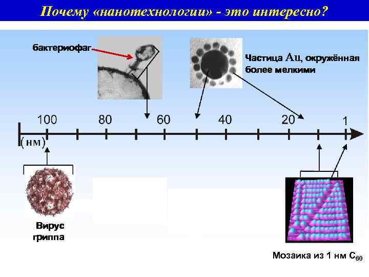 Почему «нанотехнологии» - это интересно? бактериофаг Частица Au, окружённая более мелкими Вирус гриппа Мозаика