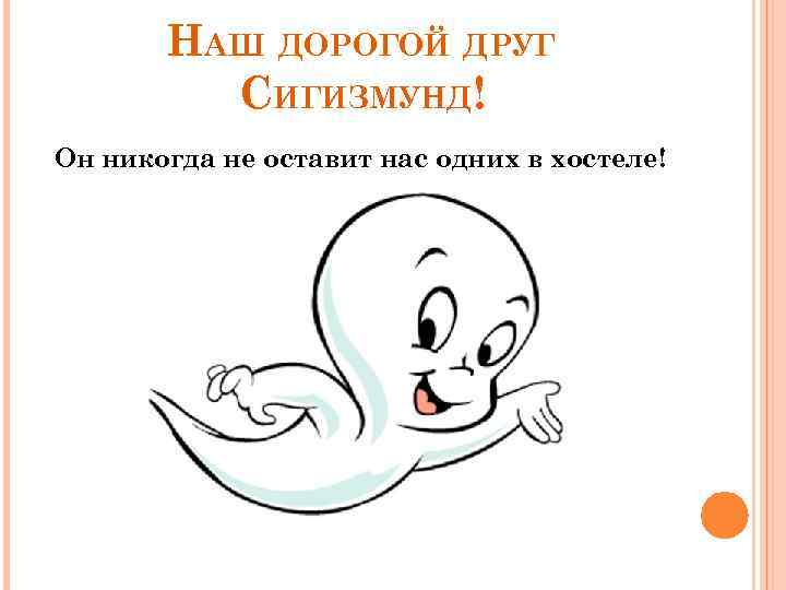 НАШ ДОРОГОЙ ДРУГ СИГИЗМУНД! Он никогда не оставит нас одних в хостеле! 