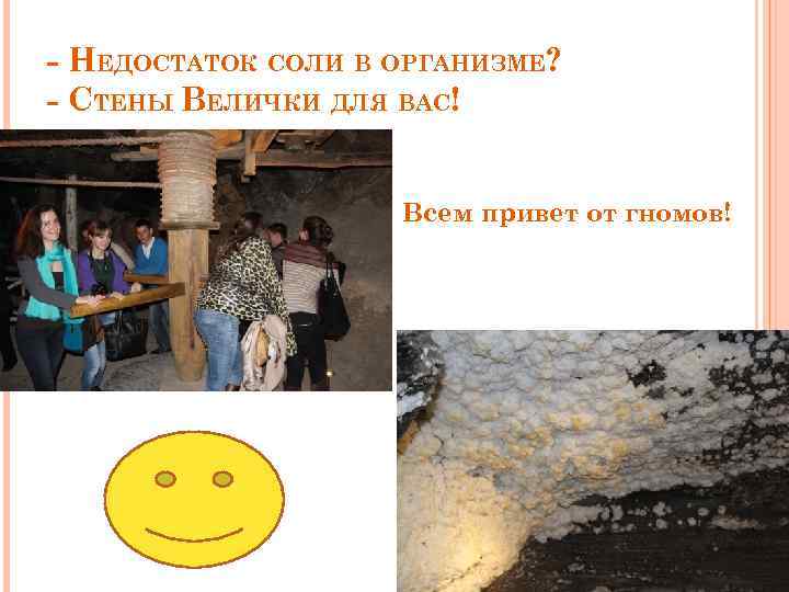 - НЕДОСТАТОК СОЛИ В ОРГАНИЗМЕ? - СТЕНЫ ВЕЛИЧКИ ДЛЯ ВАС! Всем привет от гномов!
