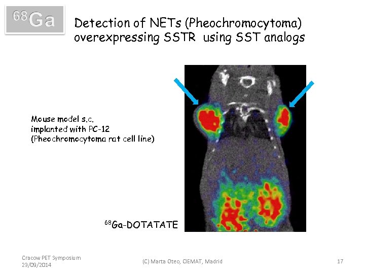 Detection of NETs (Pheochromocytoma) overexpressing SSTR using SST analogs Mouse model s. c. implanted