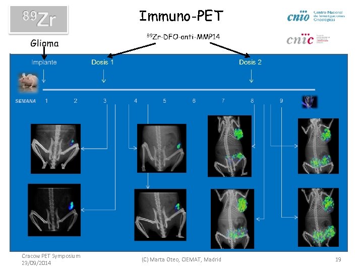 Immuno-PET Cracow PET Symposium 23/09/2014 (C) Marta Oteo, CIEMAT, Madrid 19 