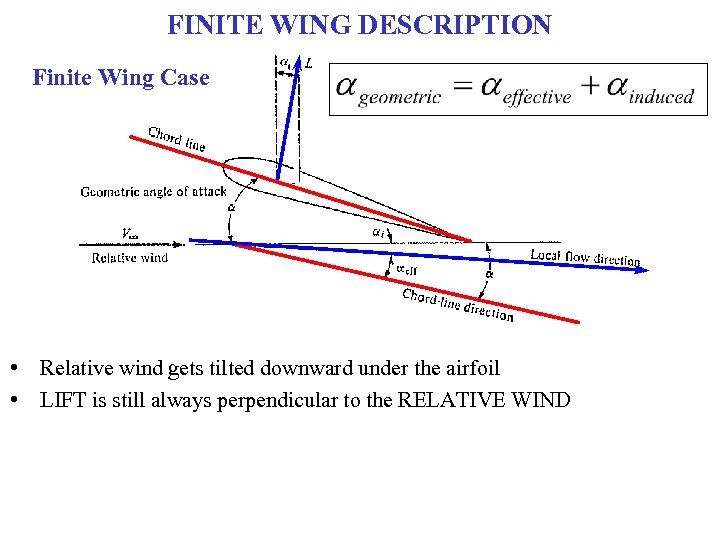 FINITE WING DESCRIPTION Finite Wing Case • Relative wind gets tilted downward under the