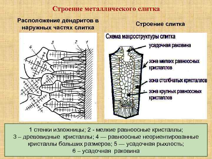 Схема строения слитка