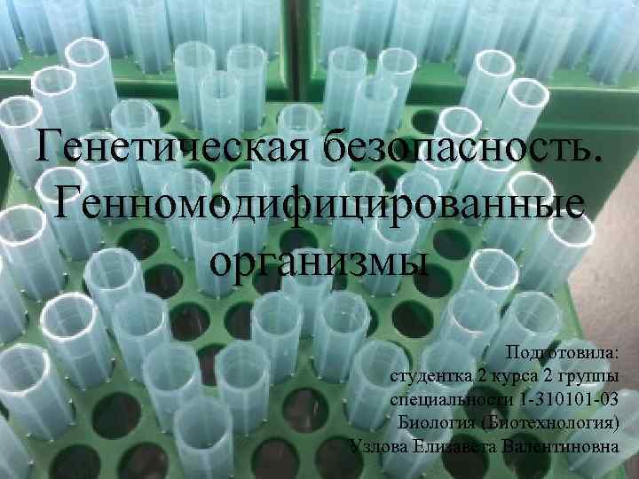 Генетическая безопасность. Генномодифицированные организмы Подготовила: студентка 2 курса 2 группы специальности 1 -310101 -03