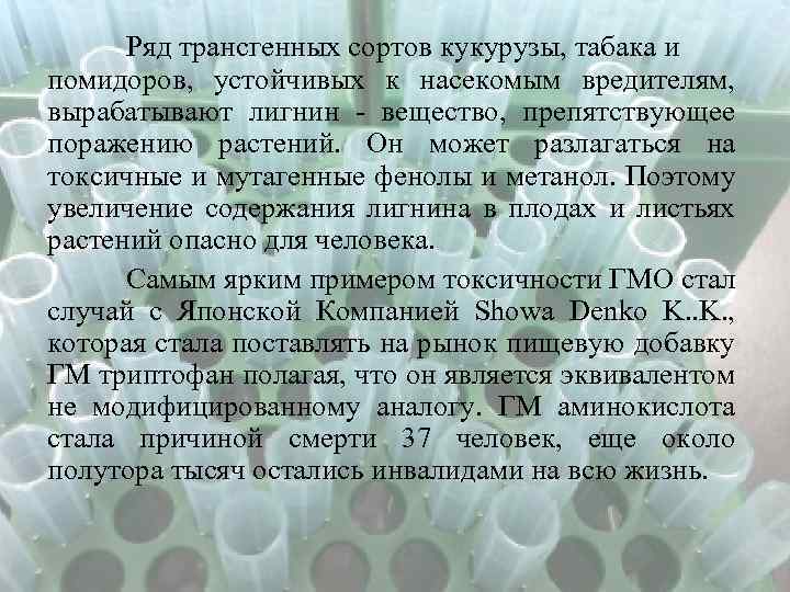 Ряд трансгенных сортов кукурузы, табака и помидоров, устойчивых к насекомым вредителям, вырабатывают лигнин -
