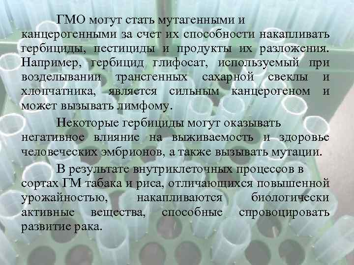 ГМО могут стать мутагенными и канцерогенными за счет их способности накапливать гербициды, пестициды и