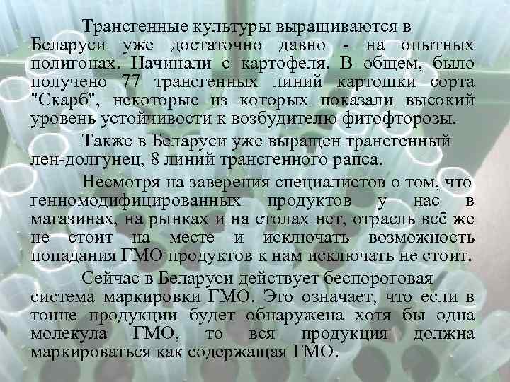 Трансгенные культуры выращиваются в Беларуси уже достаточно давно - на опытных полигонах. Начинали с