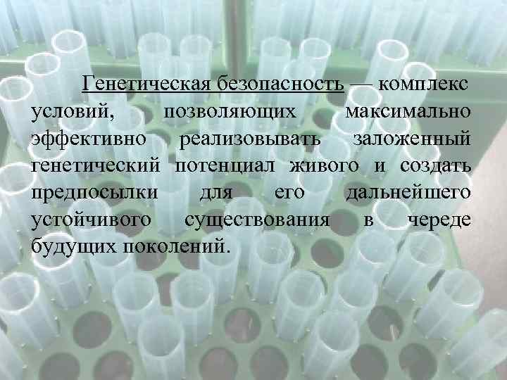 Биология проблемы генетической безопасности презентация