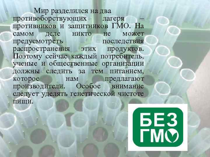Мир разделился на два противоборствующих лагеря – противников и защитников ГМО. На самом деле
