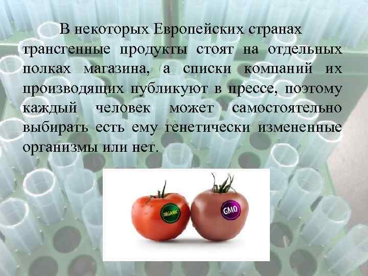 В некоторых Европейских странах трансгенные продукты стоят на отдельных полках магазина, а списки компаний
